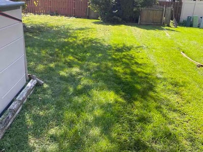 Lawn Care service in Evergreen Park, 60805