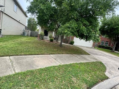 Lawn Care service in Beverly Hills, 90210