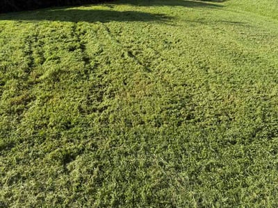 Lawn Care service in Jamestown, 27282