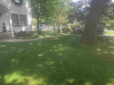 Lawn Care service in Loudon, 37774
