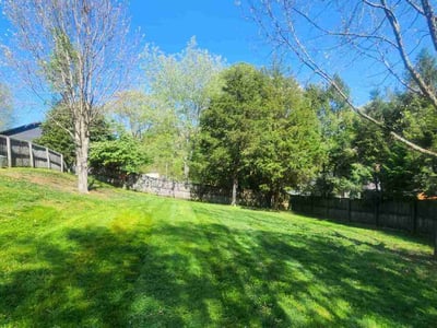 Lawn Care service in Loudon, 37774