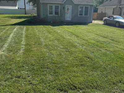Lawn Care service in Crystal Lake, 60014