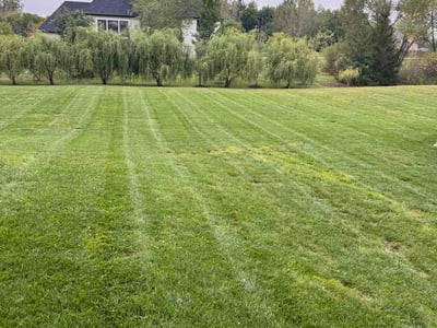 Lawn Care service in Crystal Lake, 60014