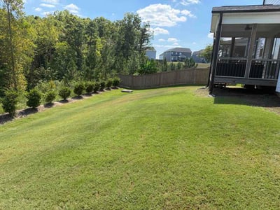 Lawn Care service in Holly Springs, 27540