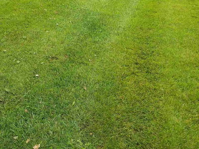 Lawn Care service in Crystal Lake, 60014