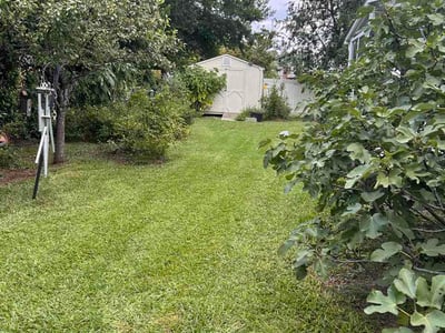 Lawn Care service in Lugoff, 29078