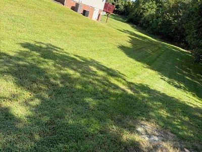 Lawn Care service in Reidsville, 27320