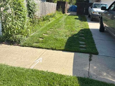 Lawn Care service in Bartlett, 60103