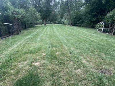 Lawn Care service in Lombard, 60148