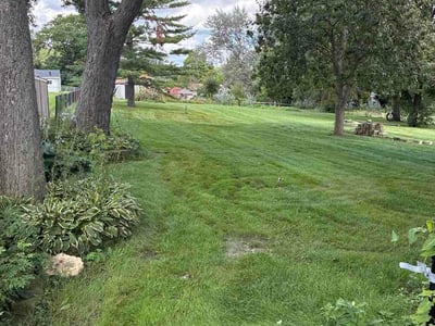 Lawn Care service in Lombard, 60148