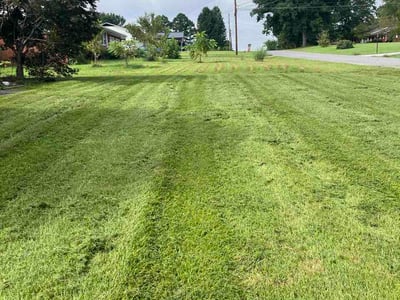 Lawn Care service in La Follette, 37766