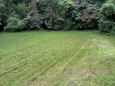 Lawn Care service in York, 29745