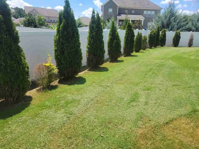 Lawn Care service in York, 29745