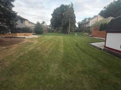 Lawn Care service in Downers Grove, 60515