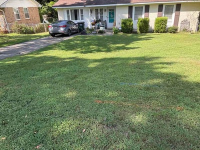Lawn Care service in Leesville, 29070