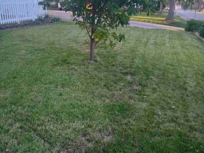 Lawn Care service in Monroe, 98272