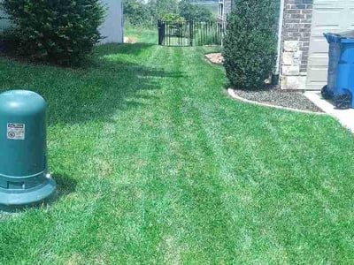 Lawn Care service in Washington, 63090