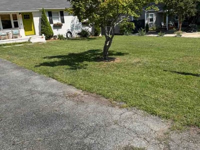 Lawn Care service in Taylors, 29687