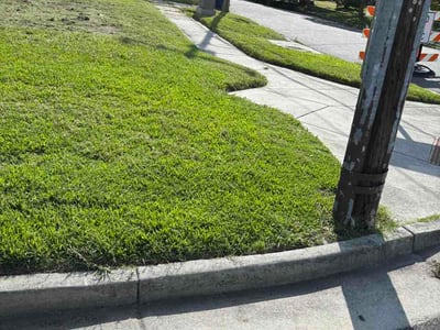 Lawn Care service in Harrisonburg, 22802