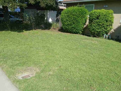 Lawn Care service in Fresno, 93721