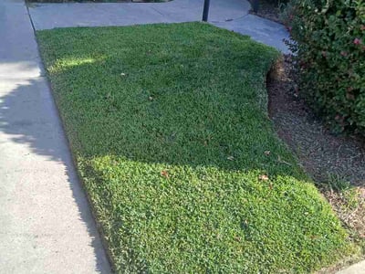 Lawn Care service in Fresno, 93721