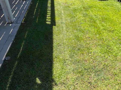 Lawn Care service in Chino, 91710