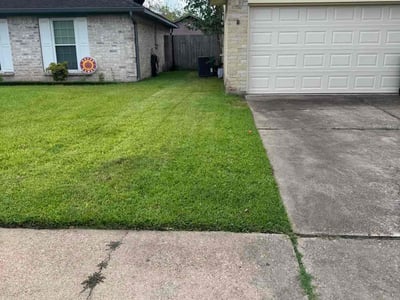 Lawn Care service in Tustin, 92780