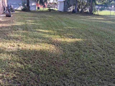 Lawn Care service in Key West, 33040