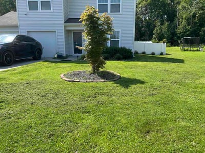 Lawn Care service in Randleman, 27317