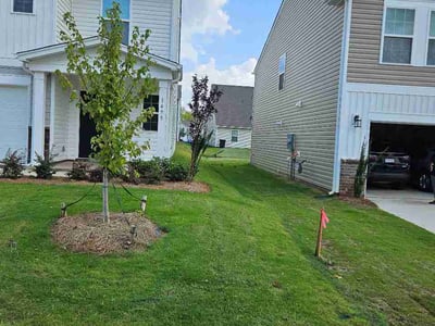 Lawn Care service in Murrells Inlet, 29576