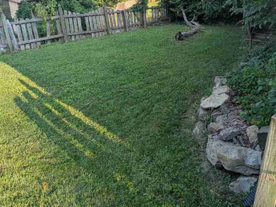 Lawn Care service in Belleville, 62220