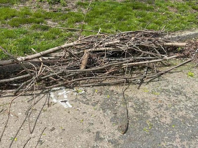 Lawn Care service in Belleville, 62220