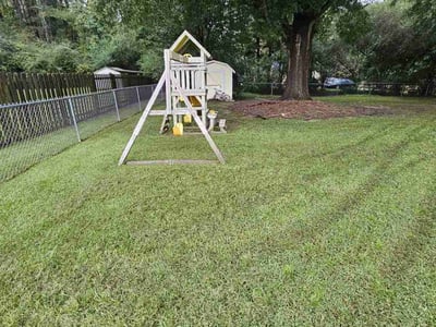 Lawn Care service in Raleigh, 27601