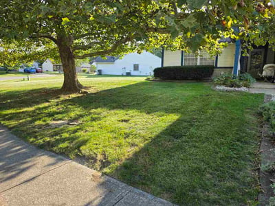 Lawn Care service in Martinsville, 46151