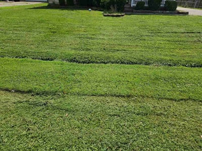 Lawn Care service in Corydon, 42406