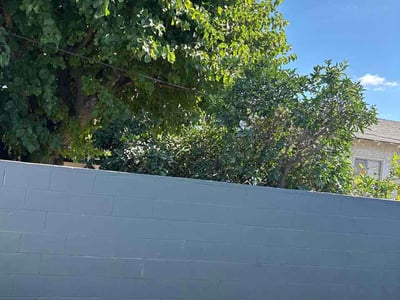 Lawn Care service in Cerritos, 90703