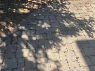 Lawn Care service in Crest Hill, 60403
