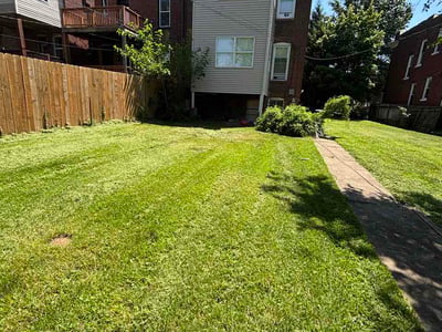 Lawn Care service in Collinsville, 62234