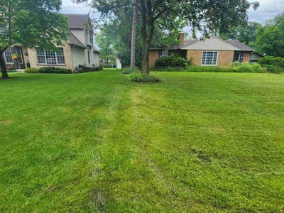Lawn Care service in Wheaton, 60187