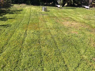 Lawn Care service in Glendora, 91741