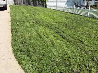 Lawn Care service in Medford, 08055