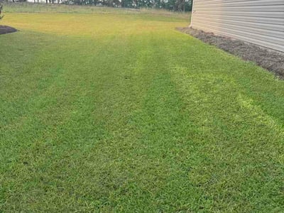 Lawn Care service in Gaston, 29053