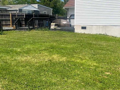 Lawn Care service in Kenmore, 98028