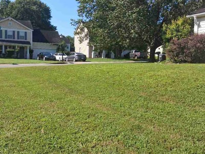 Lawn Care service in Mooresville, 28115