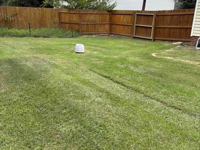 Lawn Care service in Cayce, 29033