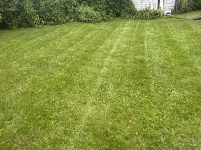 Lawn Care service in Dolton, 60419