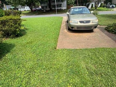 Lawn Care service in Cornelius, 28031