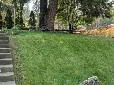 Lawn Care service in Cheney, 99004