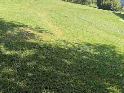 Lawn Care service in Saint Simons Island, 31522