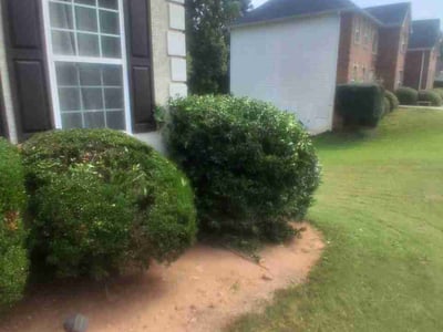Lawn Care service in Moreno Valley, 92557